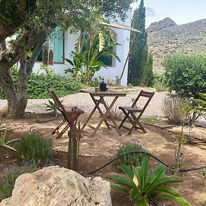 La Washingtonia Apartamento